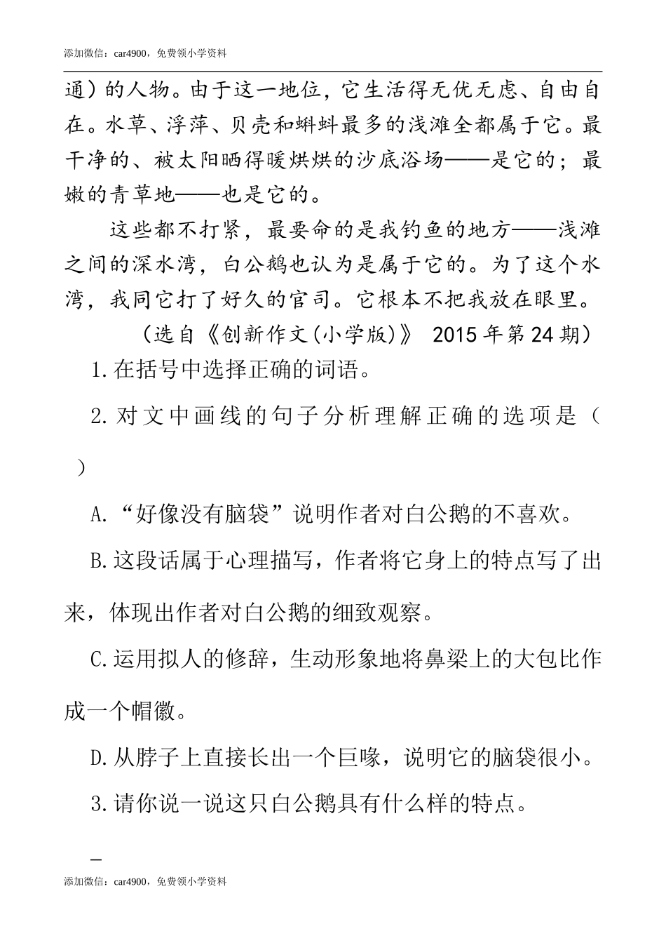 类文阅读-15 白鹅.doc_第2页