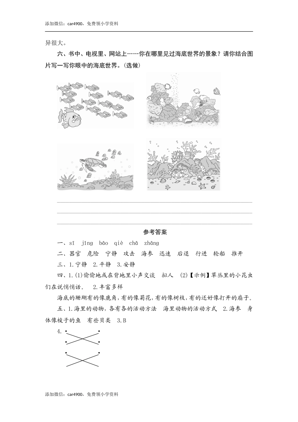 23 海底世界.doc_第3页