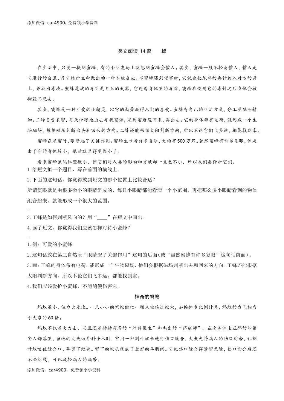 类文阅读-14蜜蜂.doc_第1页