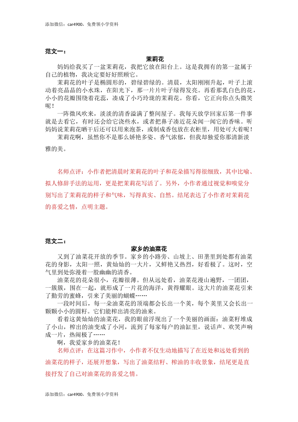 第一单元 我的植物朋友.docx_第1页
