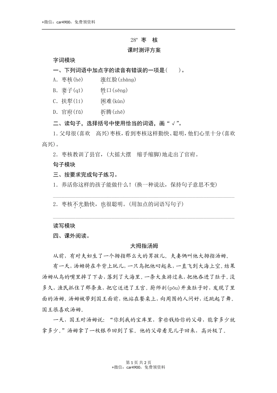 28枣 核 .doc_第1页