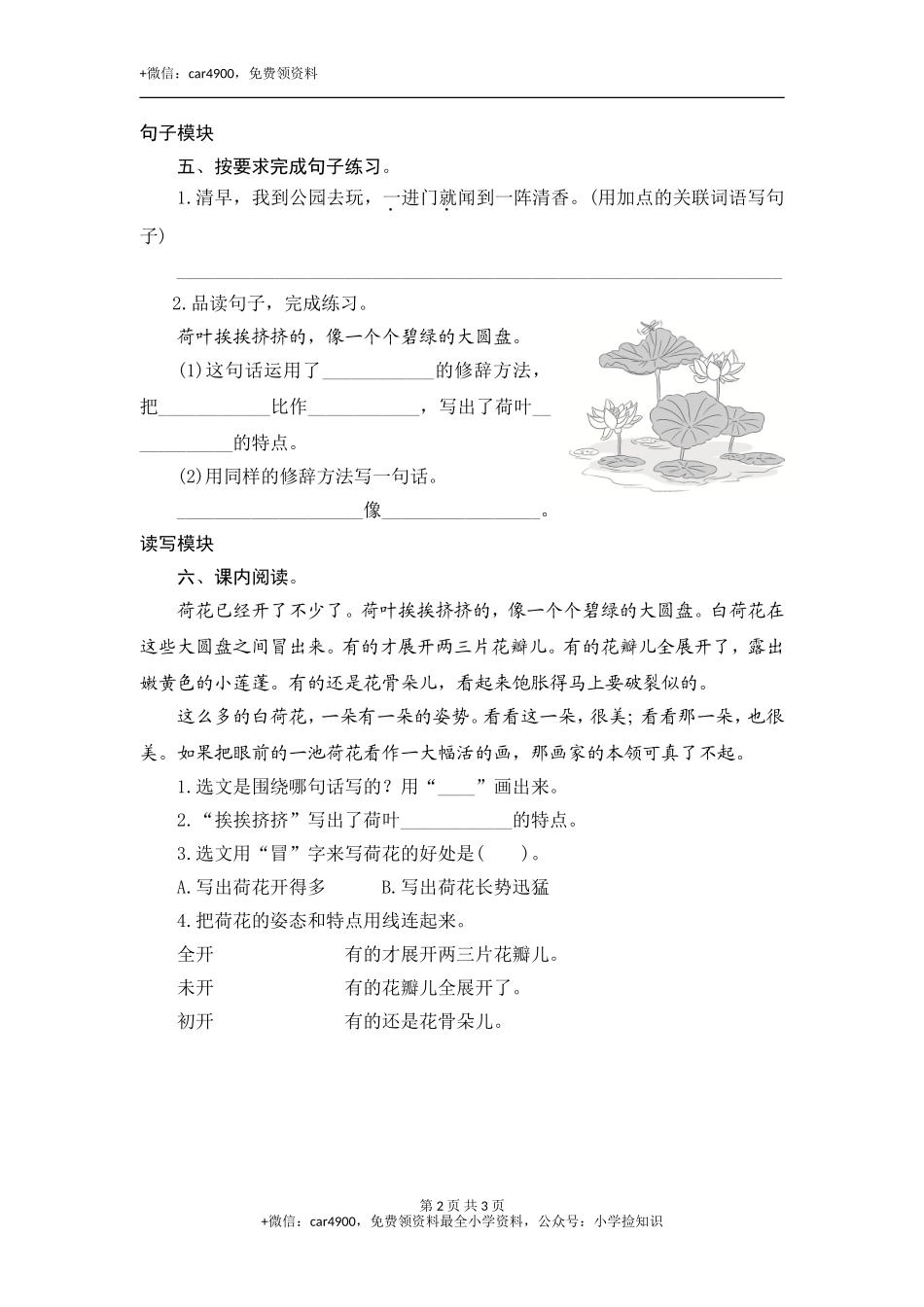 3 荷 花 .doc_第2页