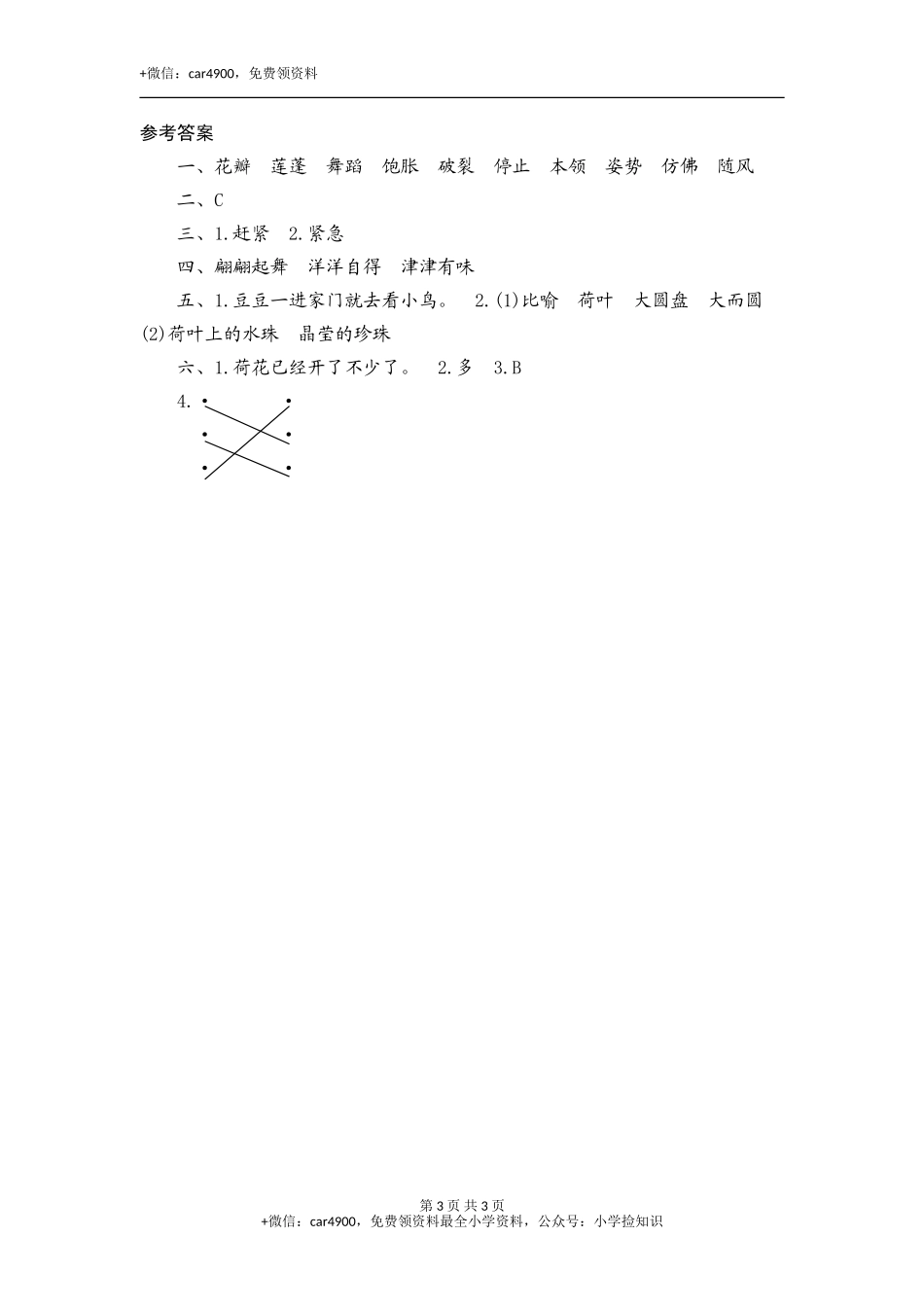 3 荷 花 .doc_第3页