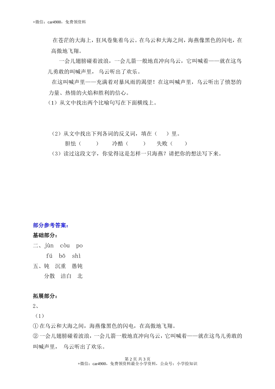 1燕子 .doc_第2页