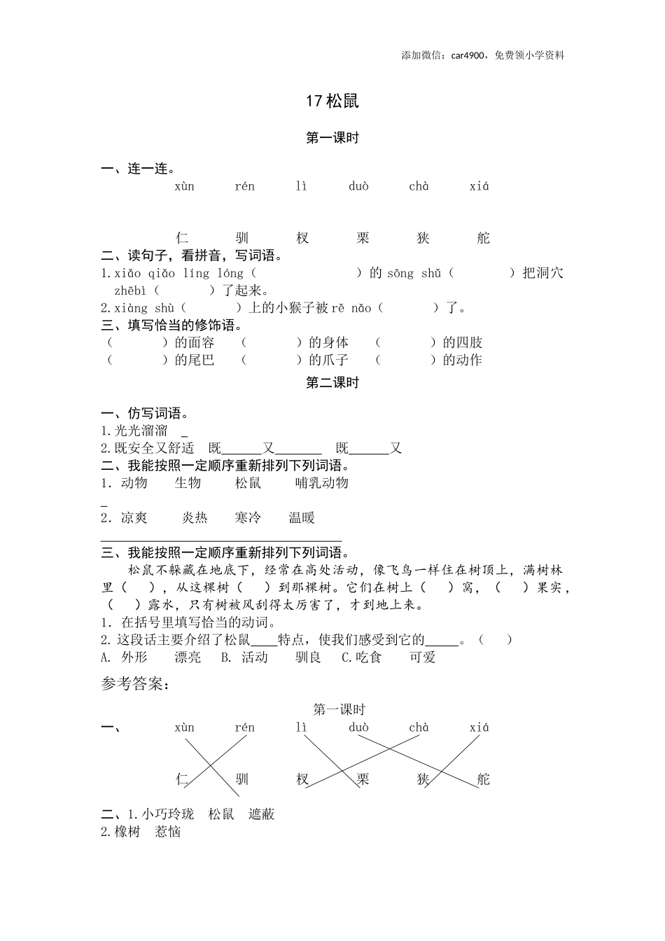 17 松鼠.docx_第1页