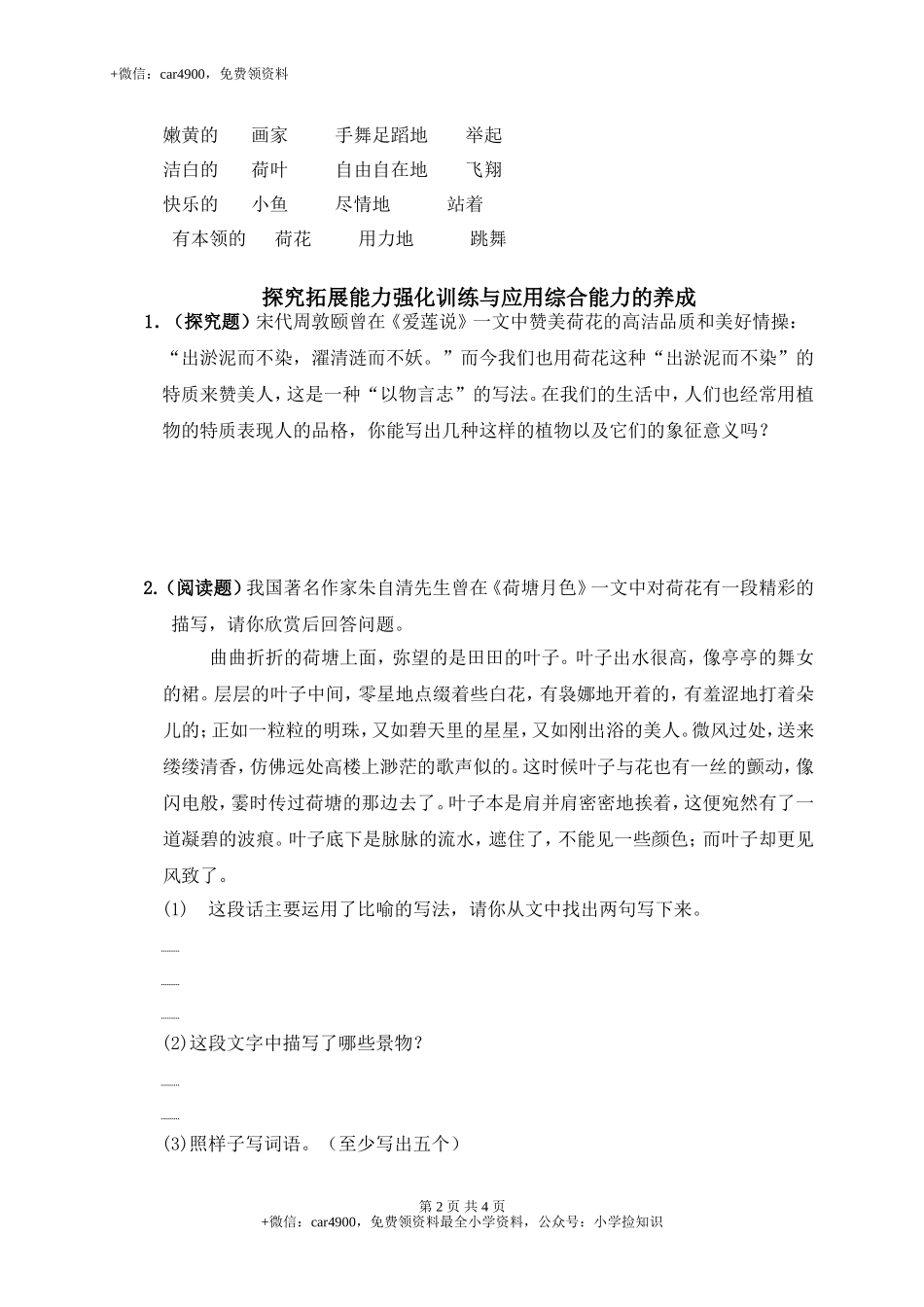 3荷花 .doc_第2页