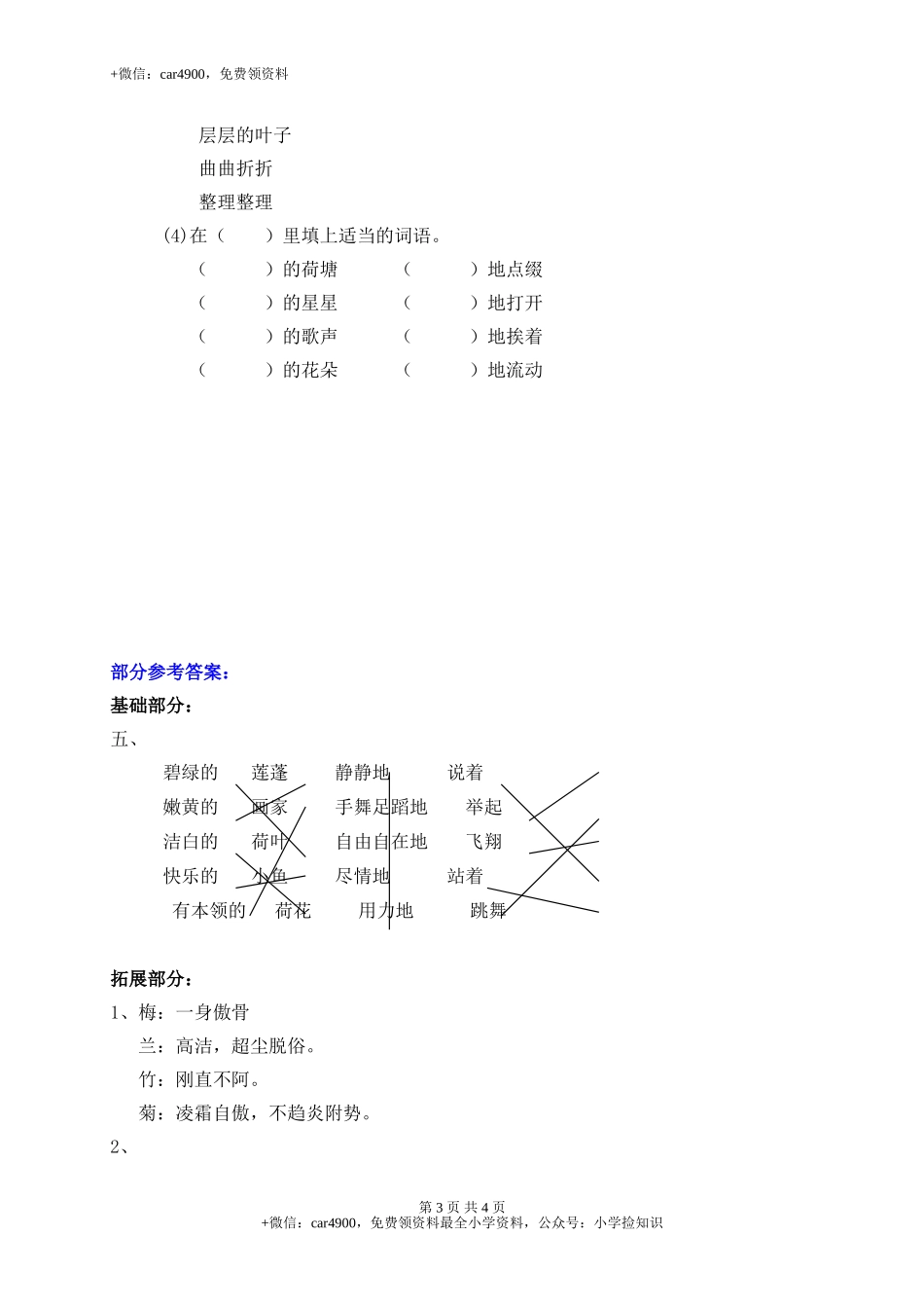 3荷花 .doc_第3页