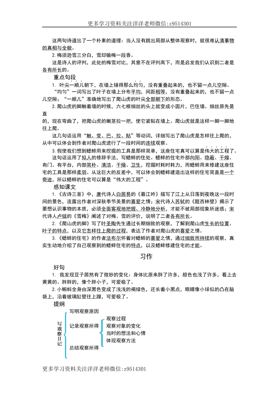 四（上）语文第三单元知识重点.docx_第2页