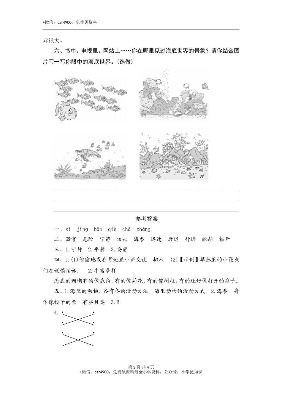 23 海底世界 .doc_第3页