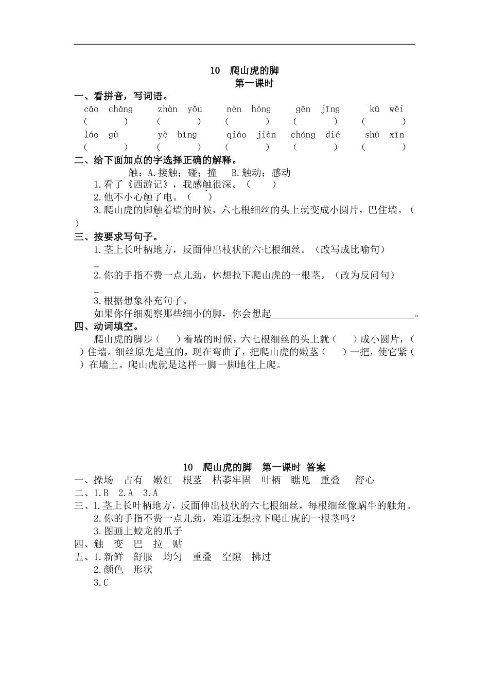 四（上）语文第10课： 爬山虎的脚(1).doc_第1页