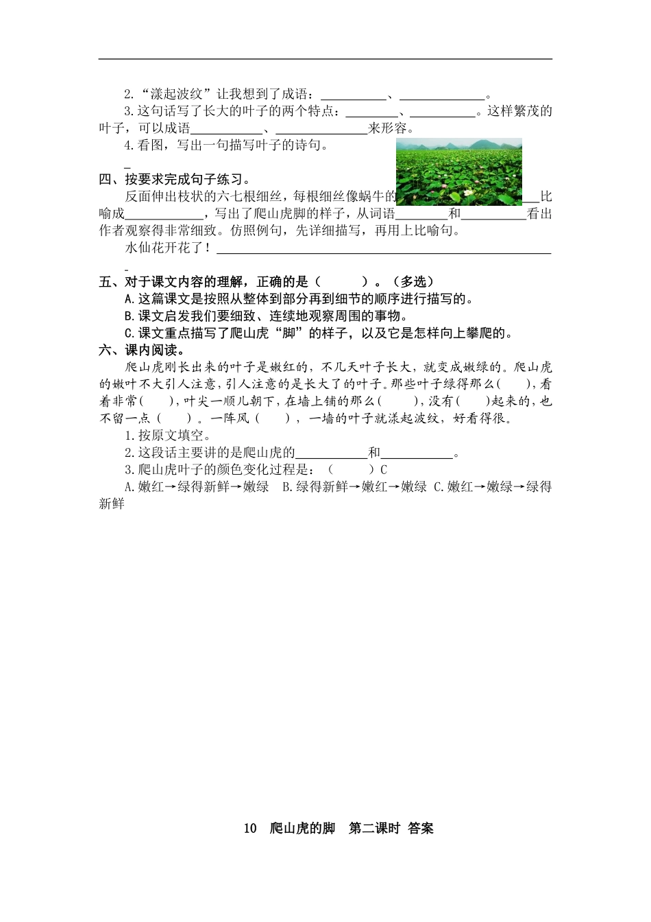 四（上）语文第10课： 爬山虎的脚(1).doc_第3页