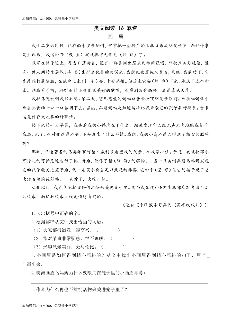 类文阅读-16 麻雀.doc_第1页