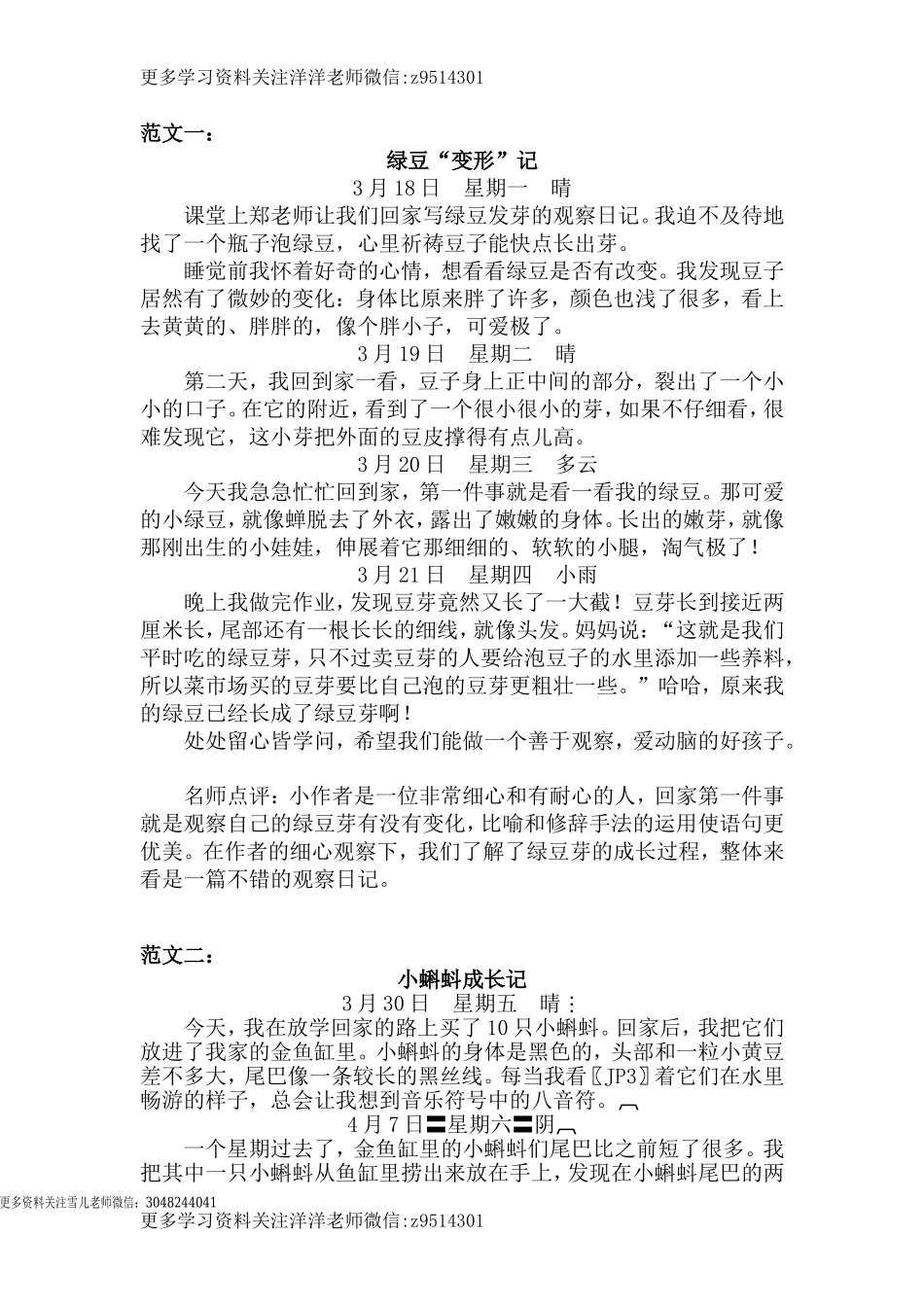 四（上）语文第三单元习作：写观察日记.doc_第1页