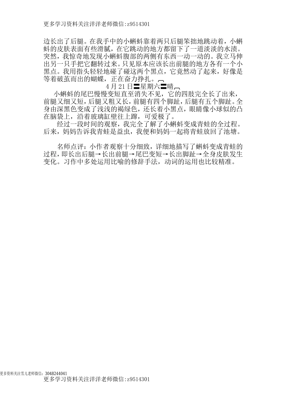 四（上）语文第三单元习作：写观察日记.doc_第2页