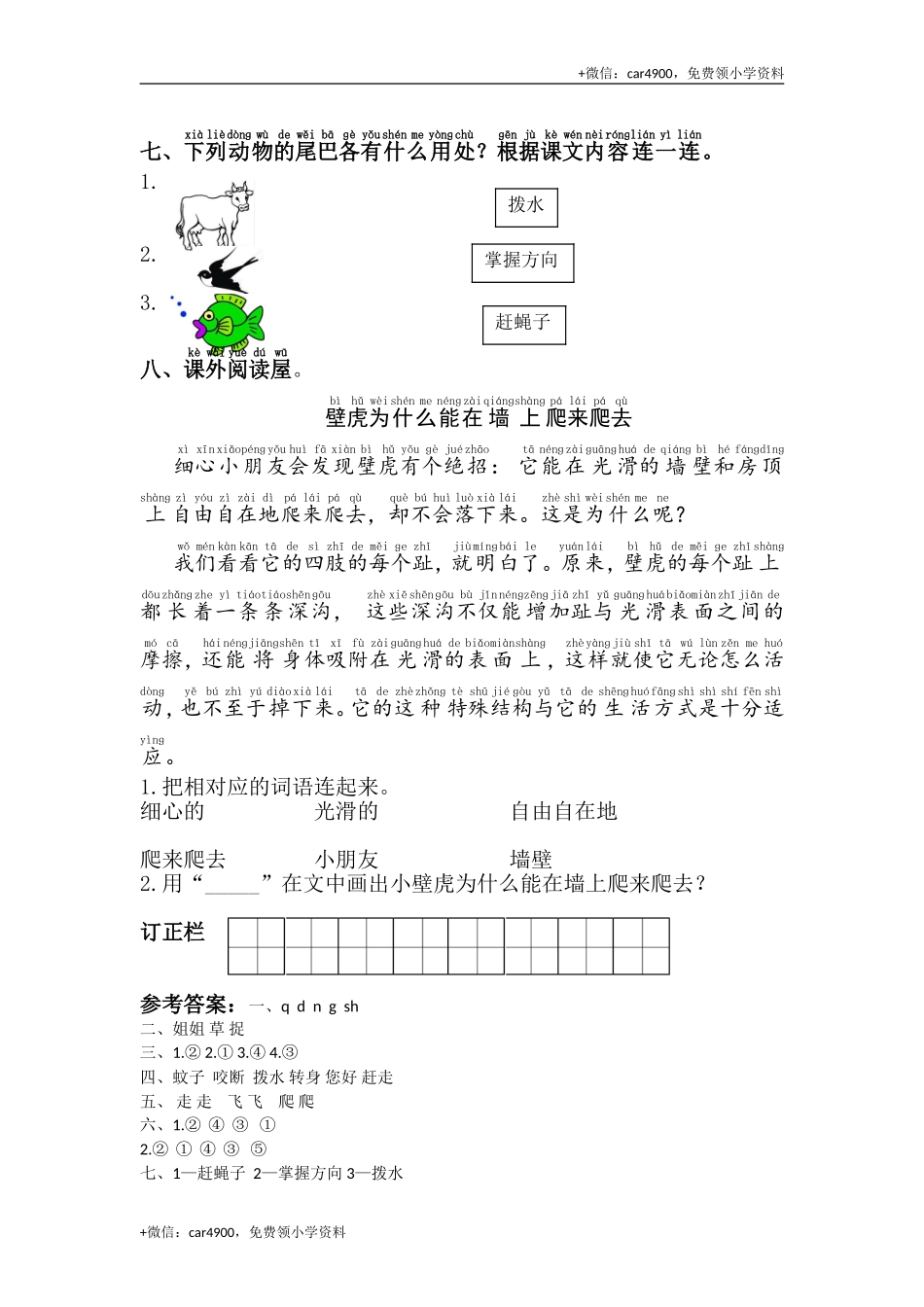 21.小壁虎借尾巴 .doc_第2页