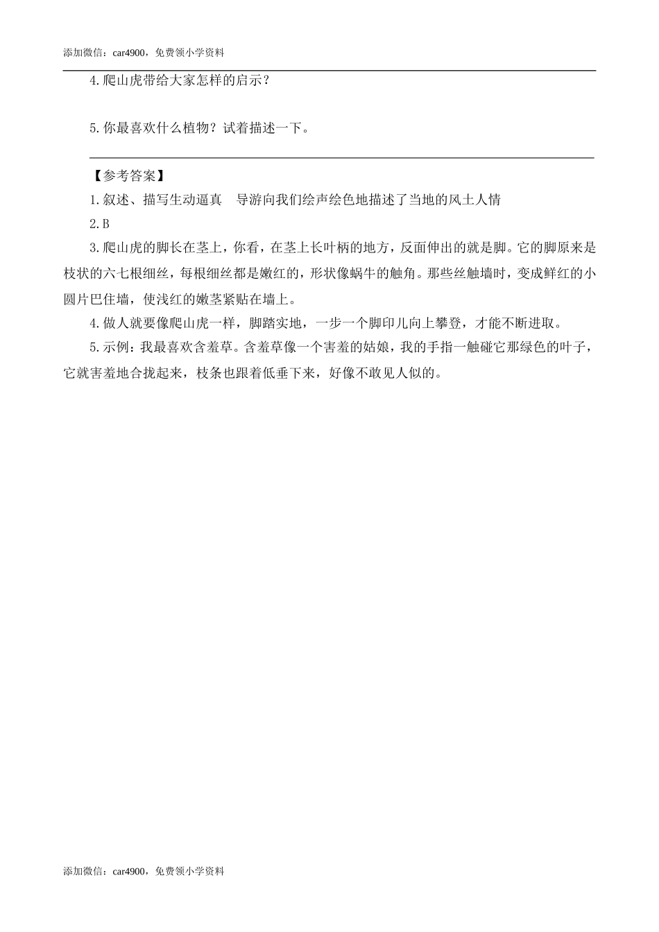 类文阅读-10 爬山虎的脚.doc_第3页