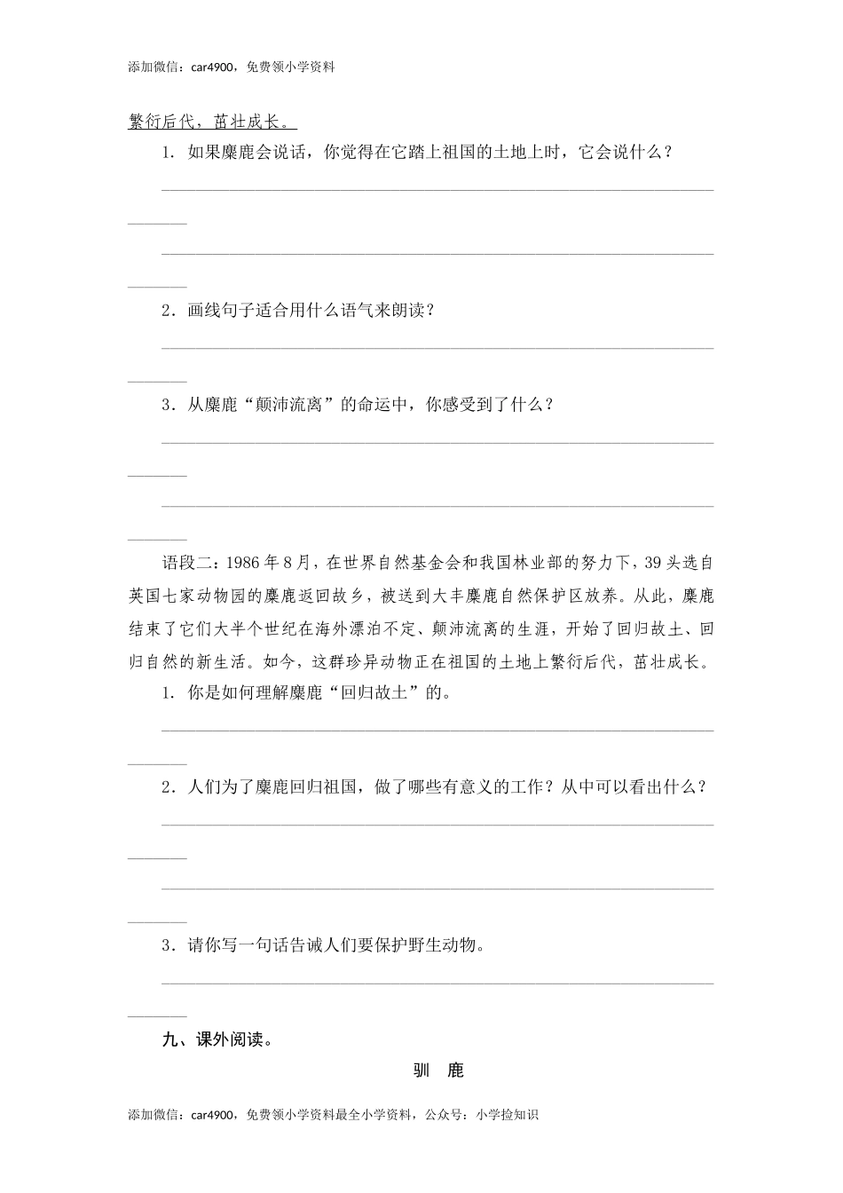 六年级上语文课时测评-17 麋鹿-苏教版（网资源）.doc_第3页