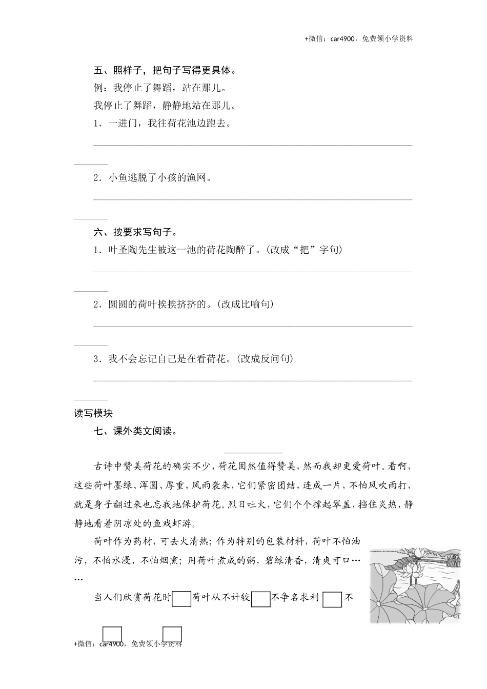 三年级下语文课时测试-3 荷花-人教版.doc_第2页