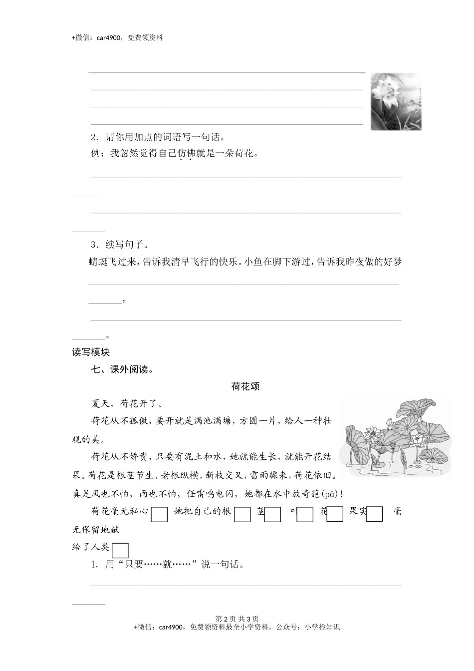 三年级下语文课时测评-12荷花-苏教版 .doc_第2页