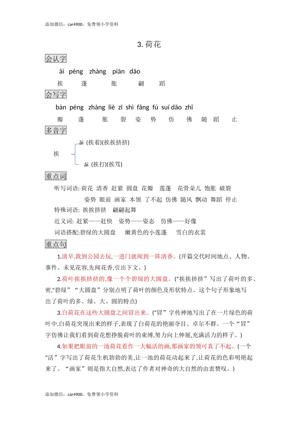 三年级下册语文素材-3. 荷花知识点总结课堂笔记 人教（部编版）.docx_第1页