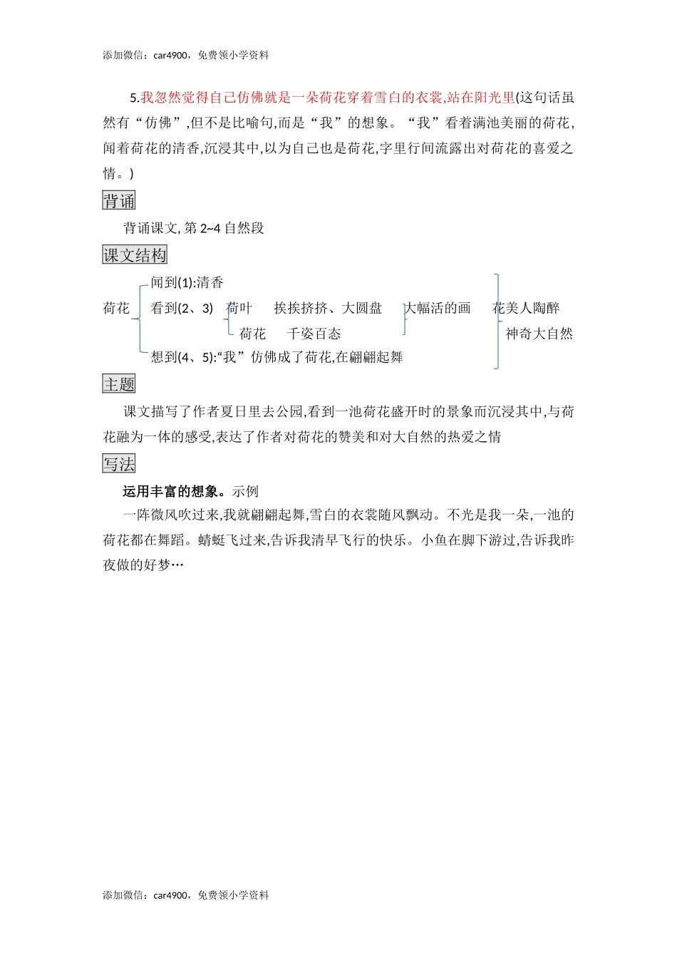 三年级下册语文素材-3. 荷花知识点总结课堂笔记 人教（部编版）.docx_第2页