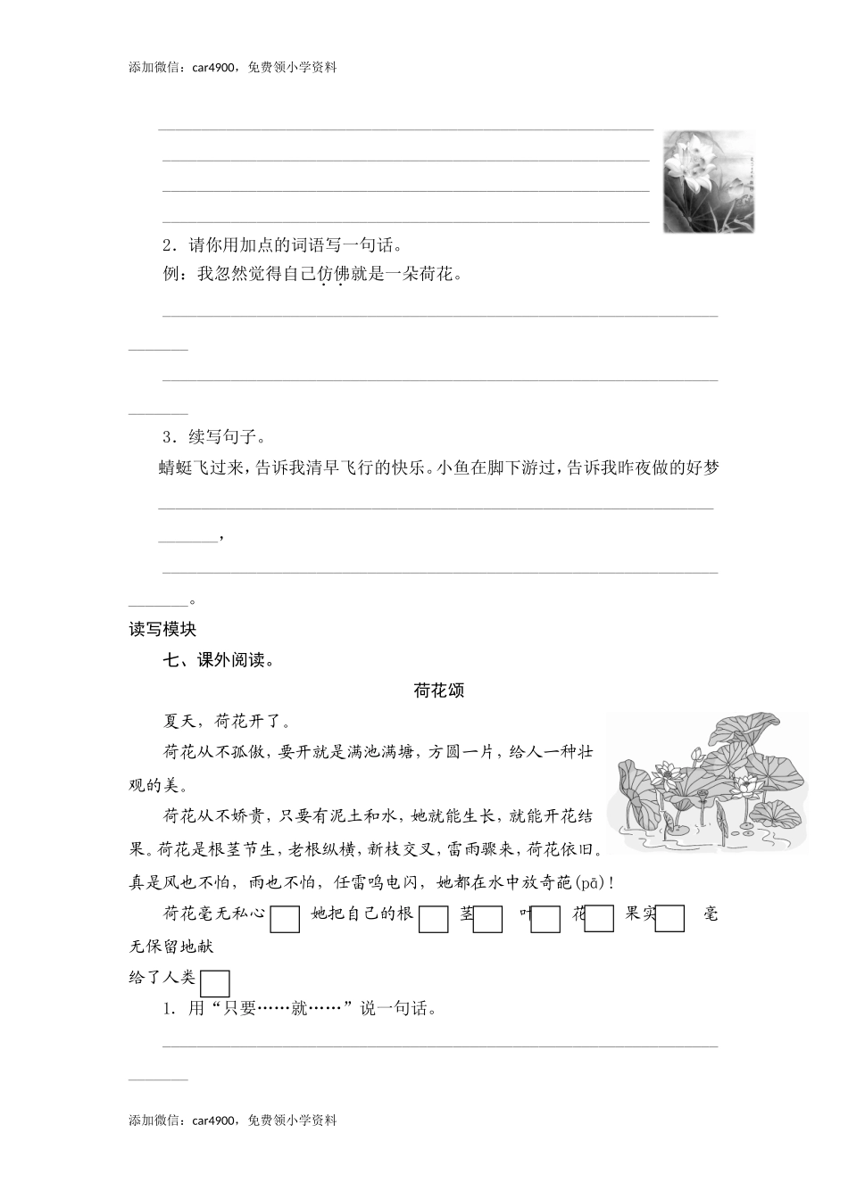 三年级下语文课时测评-12荷花-苏教版.doc_第2页