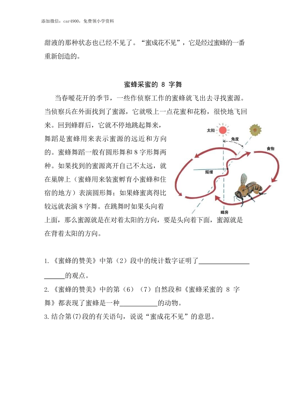 类文阅读试题-20 金字塔（含答案）人教（部编版）.docx_第2页