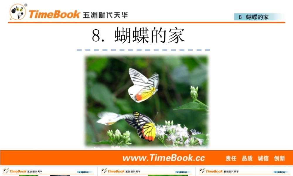 8 蝴蝶的家.pptx