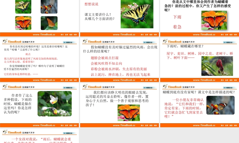 8 蝴蝶的家.pptx