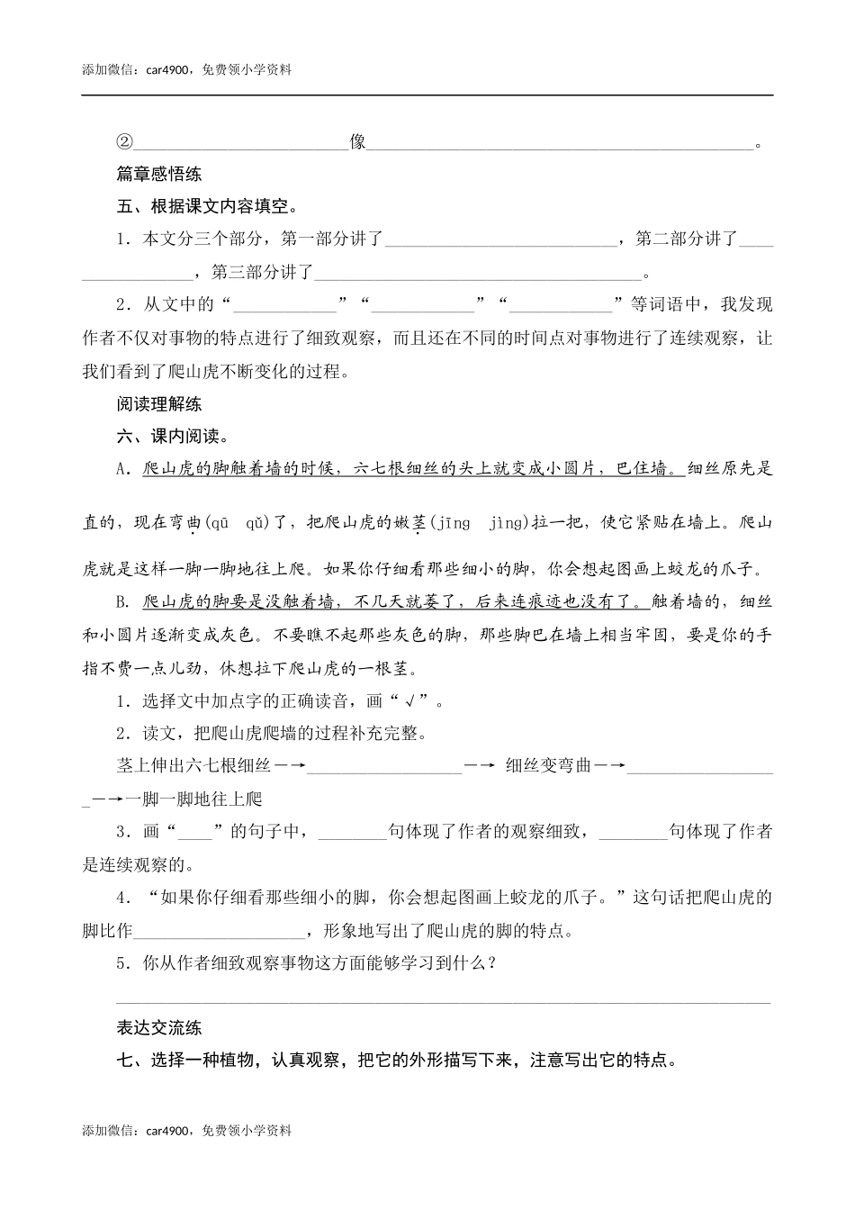 10《爬山虎的脚》课时测评.docx_第2页