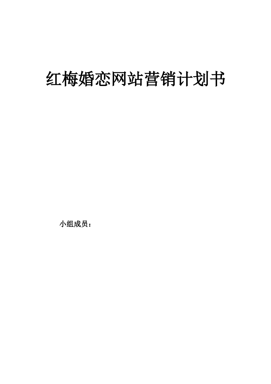 婚恋网站营销计划书.doc_第1页