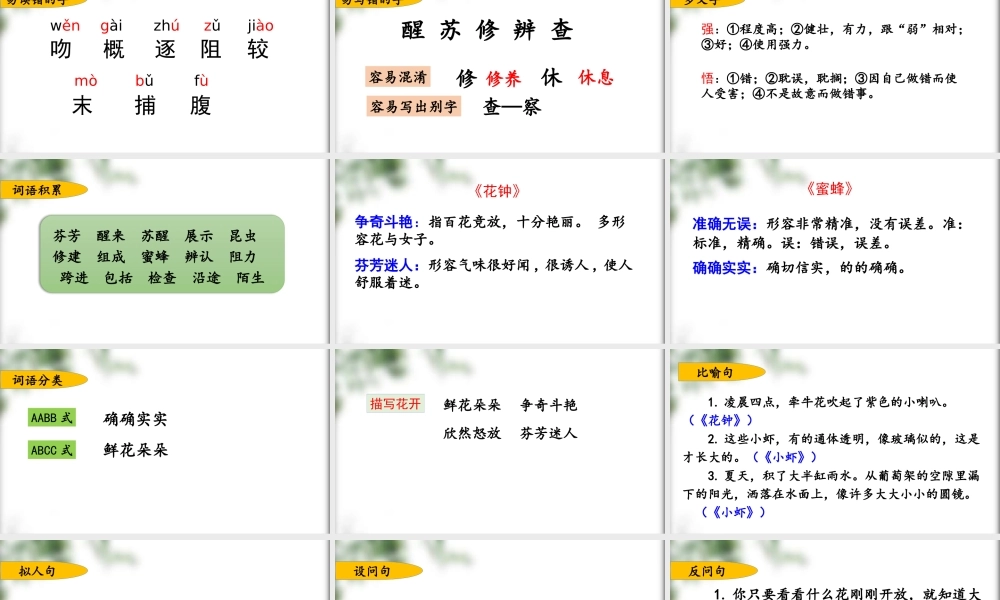 第四单元复习.pptx