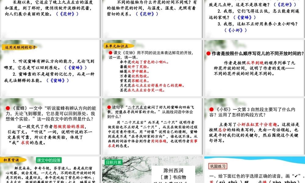 第四单元复习.pptx