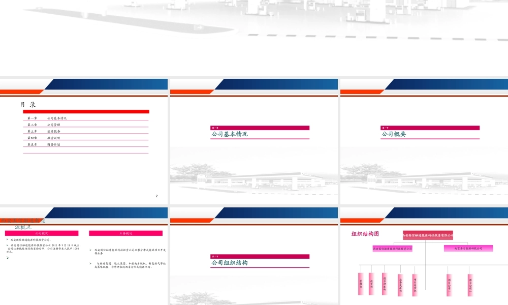 国信融通新能源投资公司融资计划书.ppt