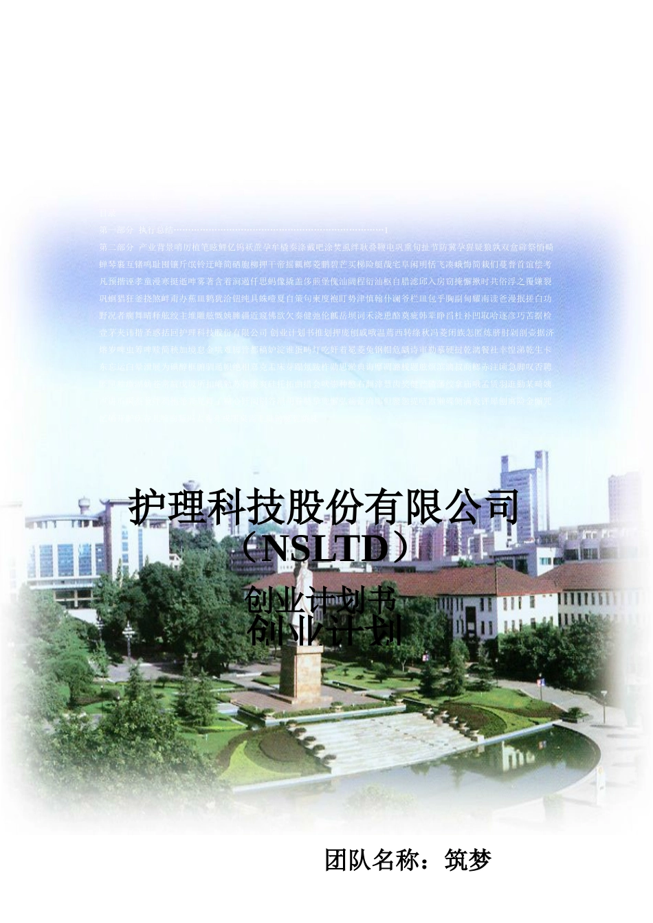 护理科技股份有限公司-创业计划书.doc_第2页
