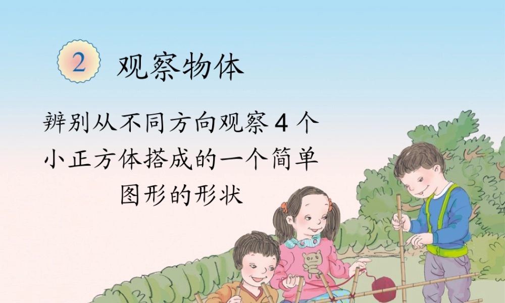 2.1观察物体（例1）.ppt