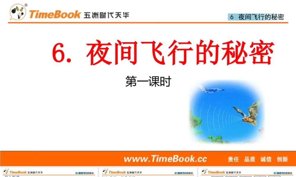 6 夜间飞行的秘密(1).pptx