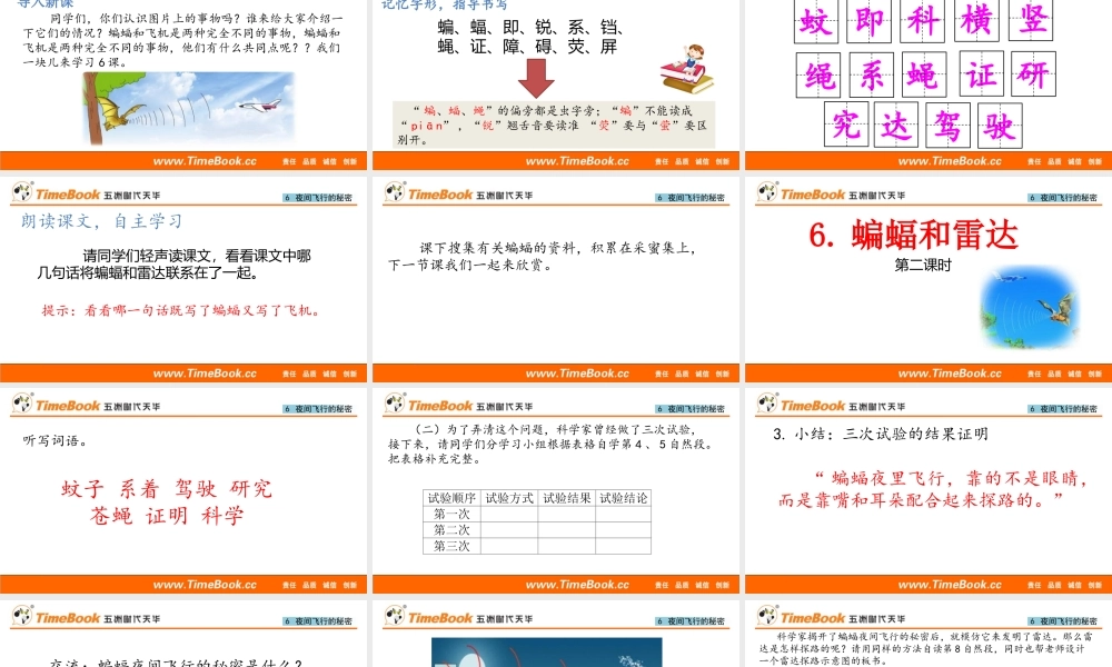 6 夜间飞行的秘密(1).pptx