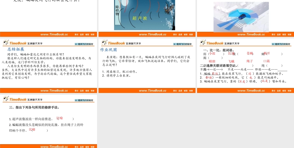6 夜间飞行的秘密(1).pptx
