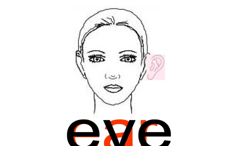 三年级英语上册Unit3 Look at me！第二课时.ppt