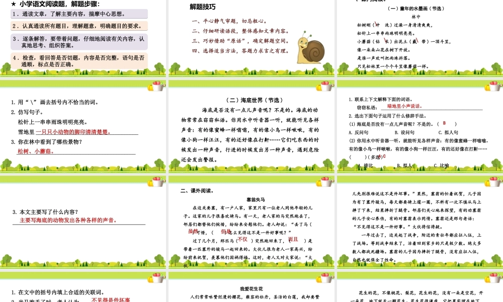 3.专项复习之三 阅读.ppt