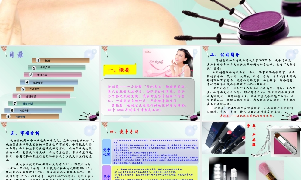 清颜美化妆品有限公司创业计划.ppt