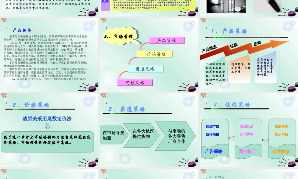 清颜美化妆品有限公司创业计划.ppt