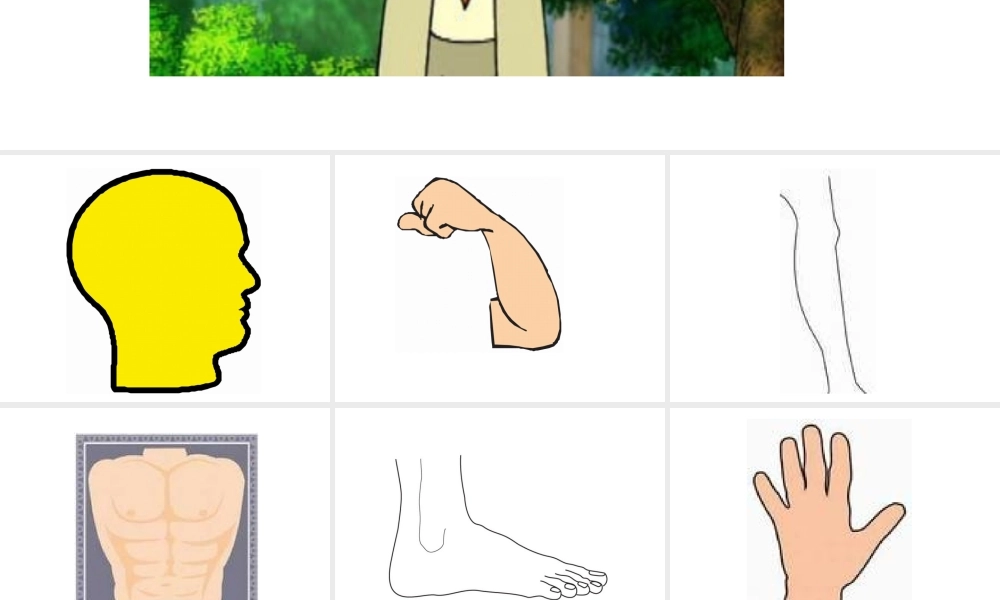 三年级英语上册Unit3 Look at me！第五课时.ppt