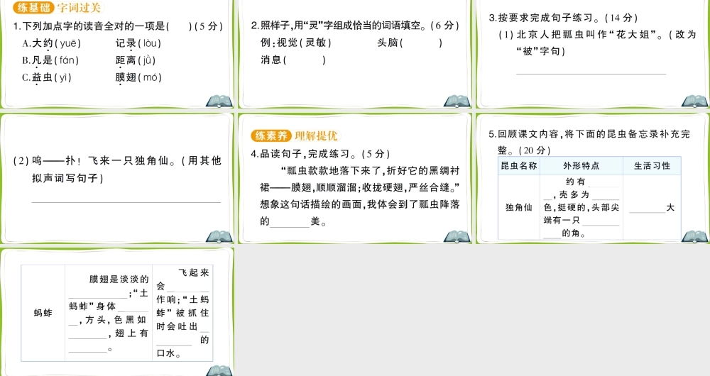 4 昆虫备忘录(1).pptx