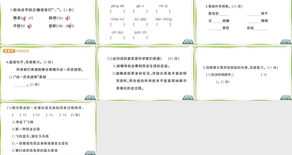 6 飞向蓝天的恐龙.pptx