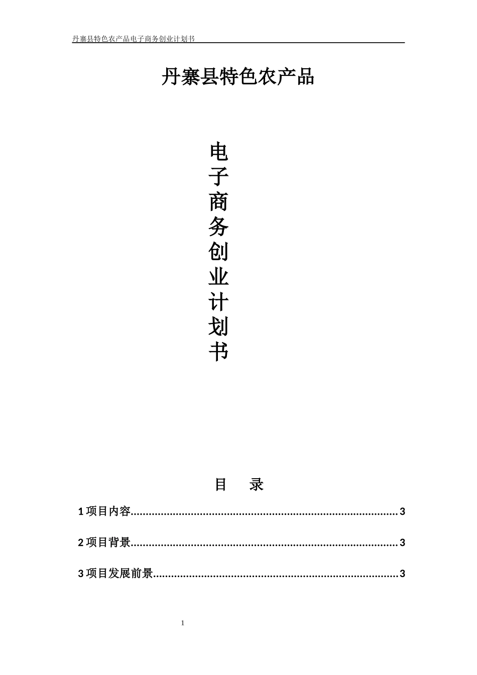 丹寨县农村电子商务创业计划书(1).docx_第1页