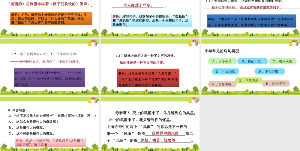 2.专项复习之二 句子专项.ppt