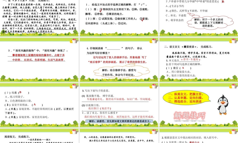 4.专项复习之四 阅读专项.ppt