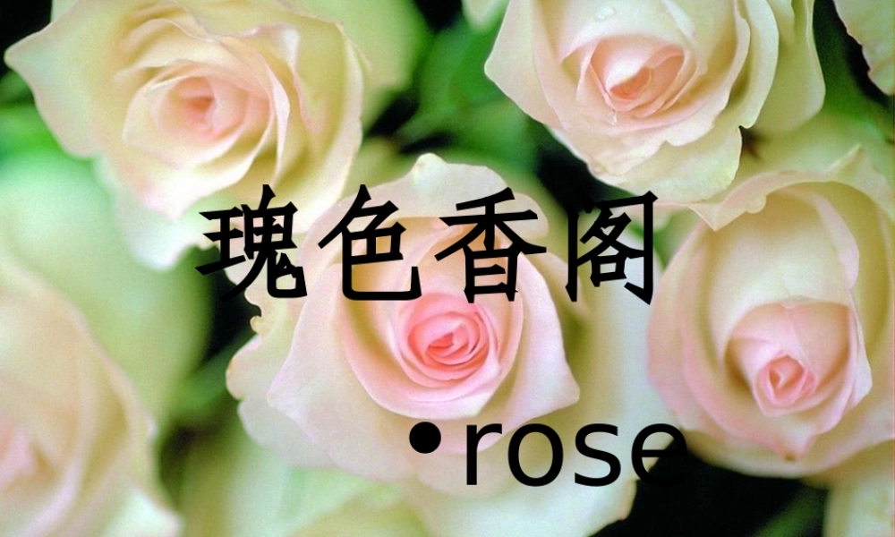 花店-统计2-李焕.ppt